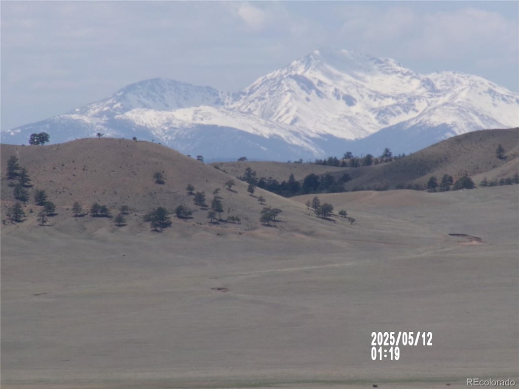 4186 Larimer Rd, Hartsel, CO 80449