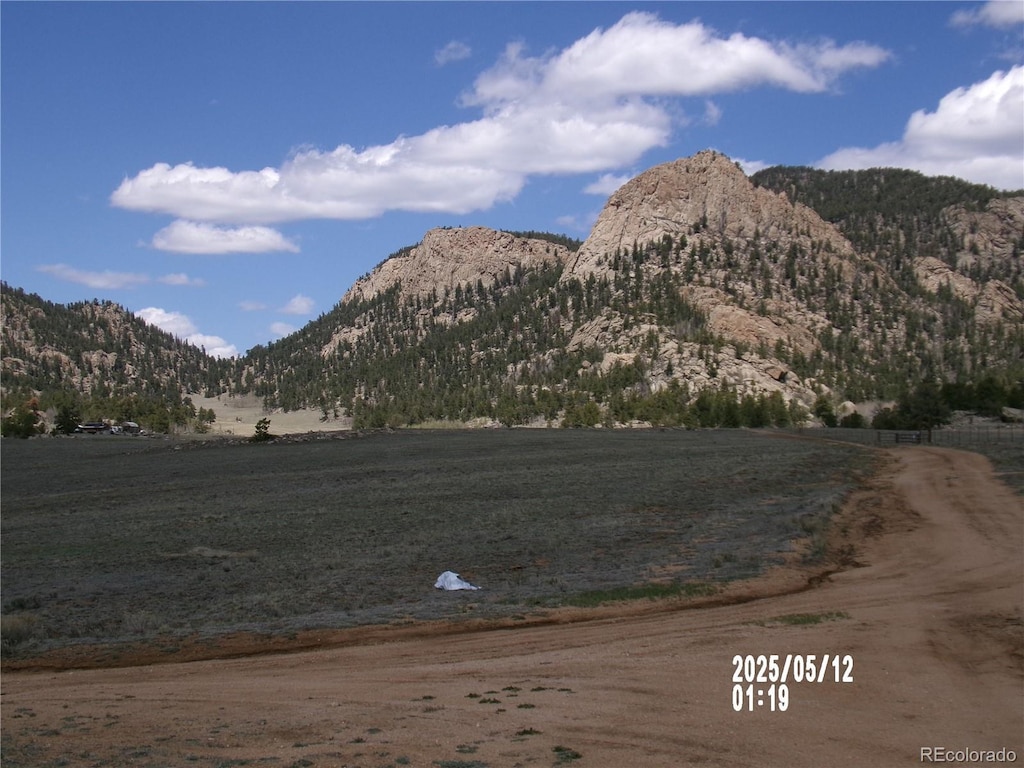 4186 Larimer Rd, Hartsel, CO 80449