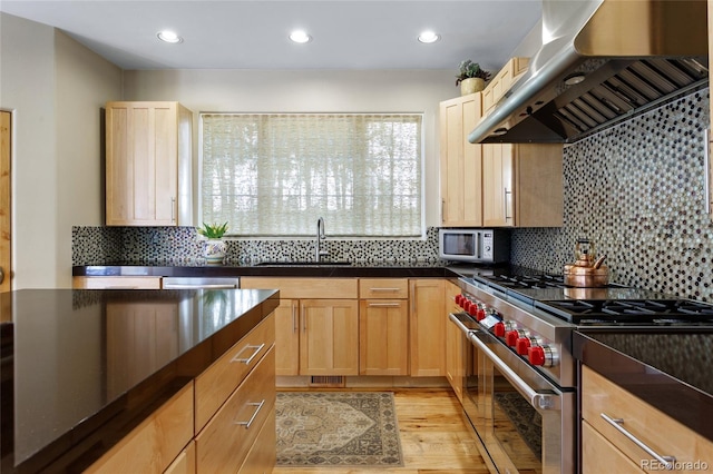 kitchen with a sink, dark countertops, exhaust hood, and stainless steel appliances