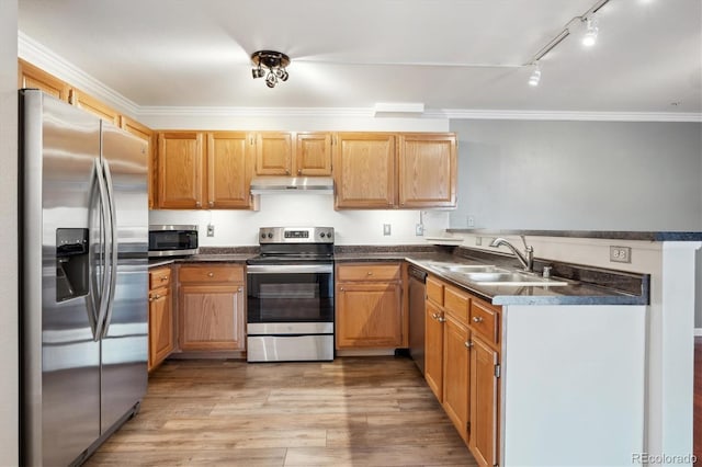 kitchen with light wood-type flooring, sink, appliances with stainless steel finishes, and ornamental molding