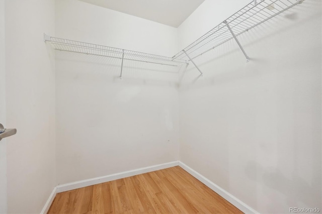 spacious closet featuring light wood-type flooring