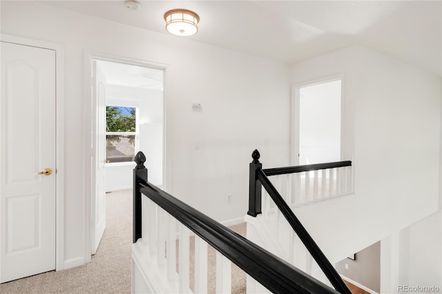 19428 E Crestridge Cir, Centennial, CO 80015 - photo 19