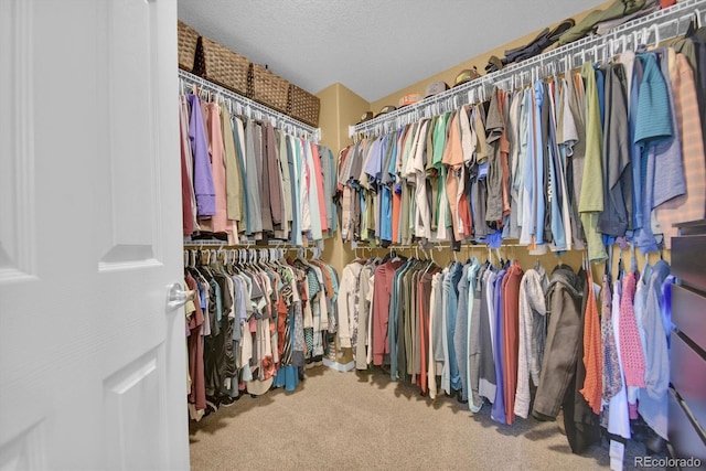 16141 E 119th Ave, Commerce City, CO 80022 - photo 25