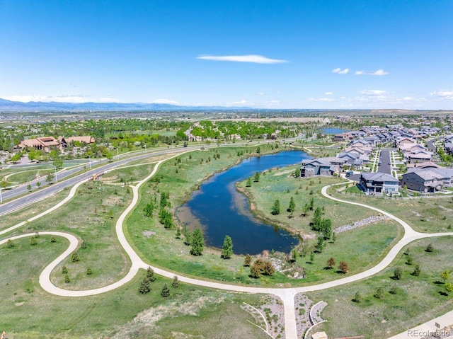16069 Pikes Peak Dr, Broomfield, CO 80023 - photo 43