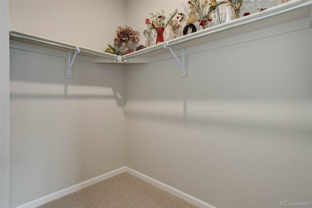 1310 Hoyt St Unit 6, Lakewood, CO 80215 - photo 25