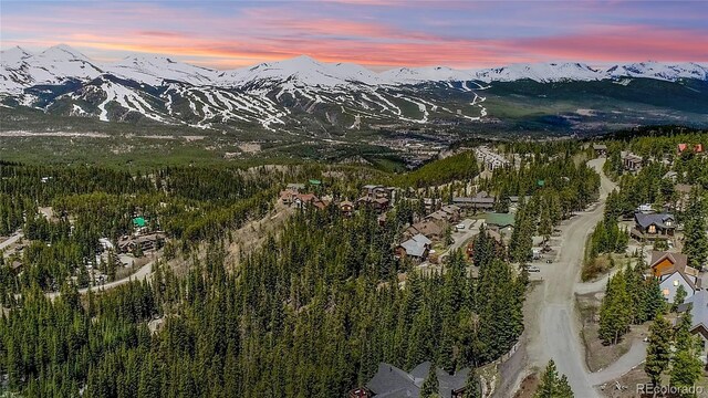 247 S Fuller Placer Rd, Breckenridge, CO 80424
