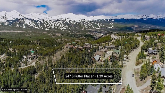 247 S Fuller Placer Rd, Breckenridge, CO 80424