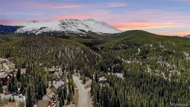 247 S Fuller Placer Rd, Breckenridge, CO 80424