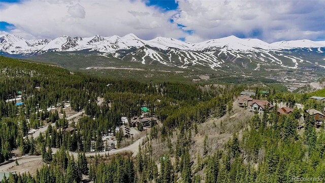 247 S Fuller Placer Rd, Breckenridge, CO 80424