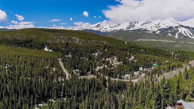 247 S Fuller Placer Rd, Breckenridge, CO 80424