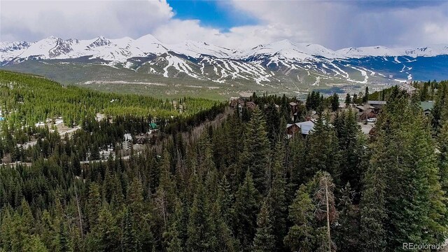 247 S Fuller Placer Rd, Breckenridge, CO 80424