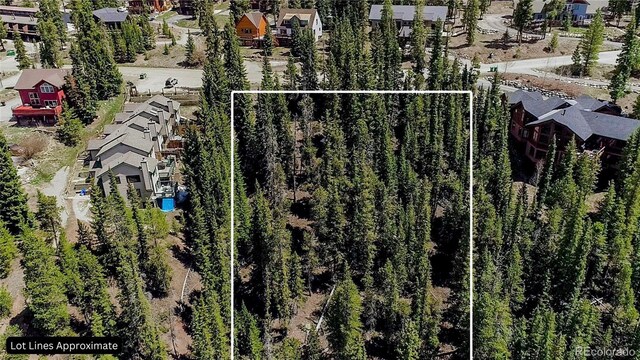 247 S Fuller Placer Rd, Breckenridge, CO 80424