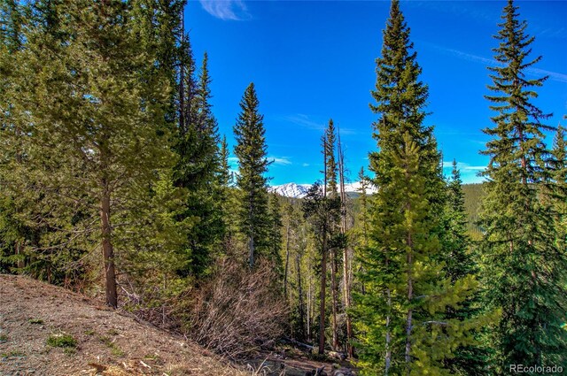 247 S Fuller Placer Rd, Breckenridge, CO 80424