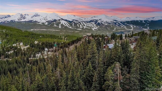 247 S Fuller Placer Rd, Breckenridge, CO 80424