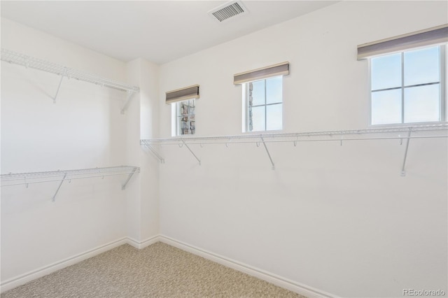 walk in closet with carpet floors and visible vents