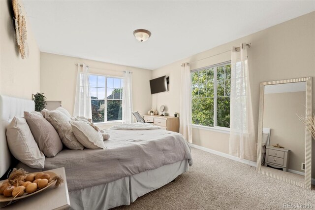 22 Apache Plume St, Brighton, CO 80601 - bedroom with carpet floors and baseboards