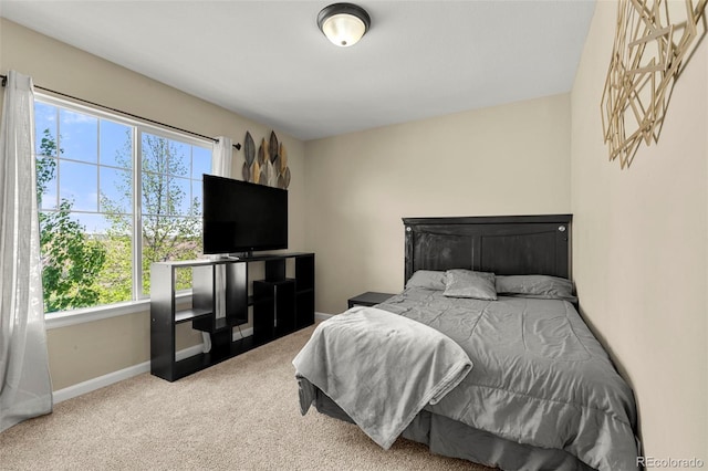 22 Apache Plume St, Brighton, CO 80601 - carpeted bedroom with baseboards
