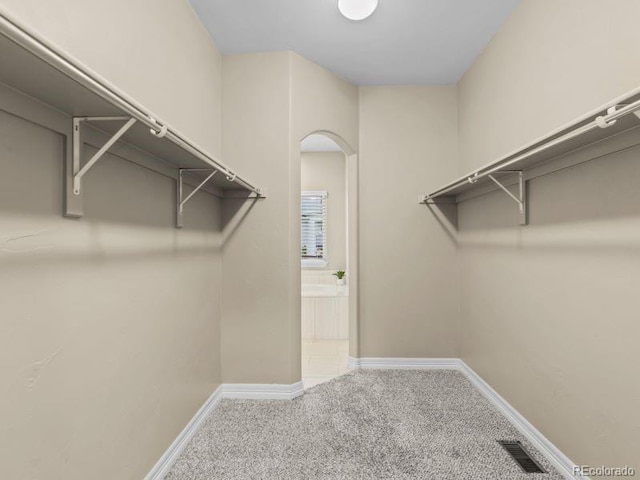 13850 Windrush Dr, Colorado Springs, CO 80921 - photo 18