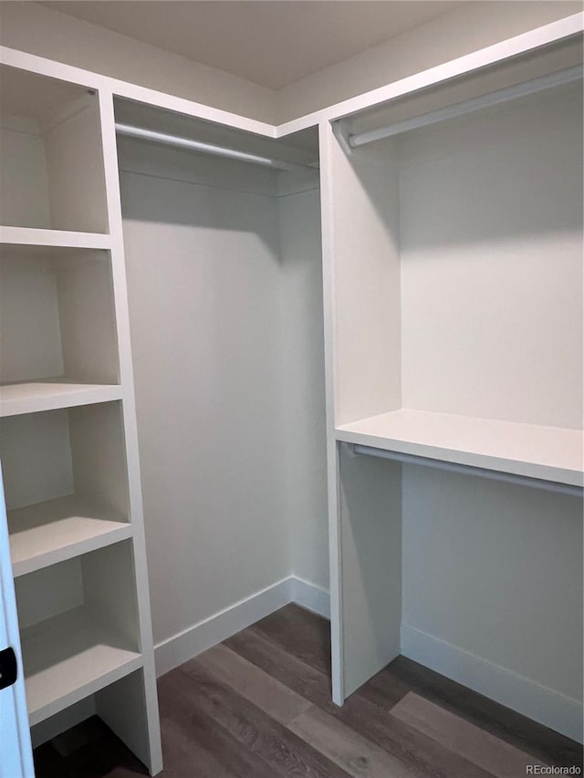 spacious closet featuring dark wood-type flooring