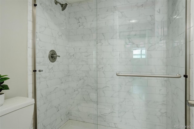 full bathroom featuring a shower stall and toilet