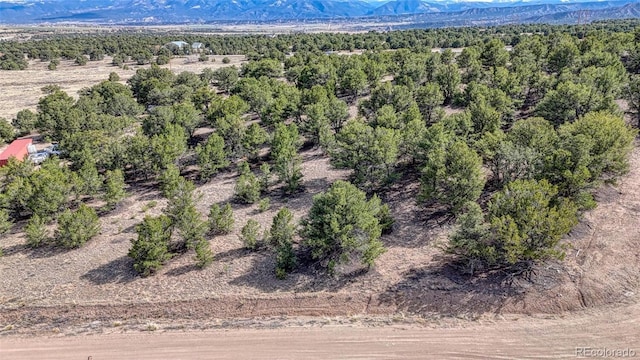 10767 Sawatch Range Rd, Salida, CO 81201