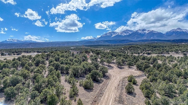 10767 Sawatch Range Rd, Salida, CO 81201