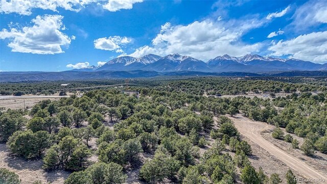 10767 Sawatch Range Rd, Salida, CO 81201