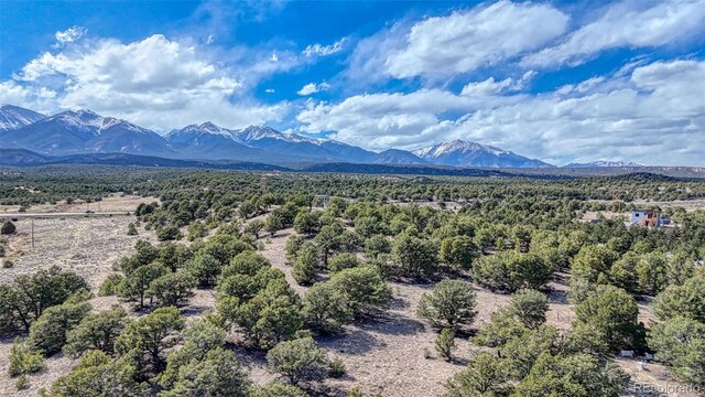 10767 Sawatch Range Rd, Salida, CO 81201