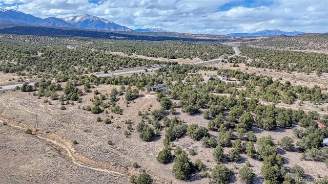 10767 Sawatch Range Rd, Salida, CO 81201