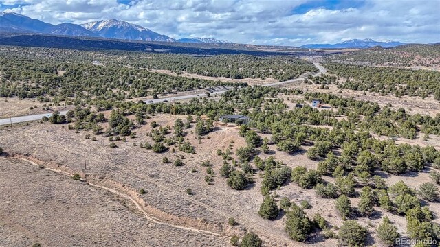 10767 Sawatch Range Rd, Salida, CO 81201