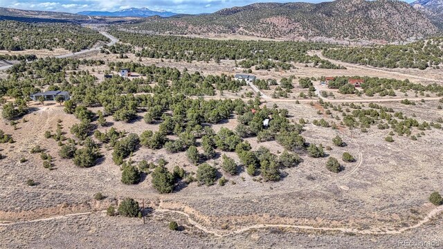 10767 Sawatch Range Rd, Salida, CO 81201
