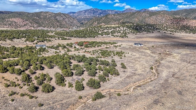 10767 Sawatch Range Rd, Salida, CO 81201