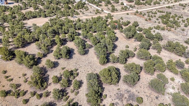 10767 Sawatch Range Rd, Salida, CO 81201