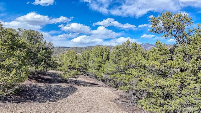 10767 Sawatch Range Rd, Salida, CO 81201