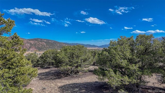 10767 Sawatch Range Rd, Salida, CO 81201