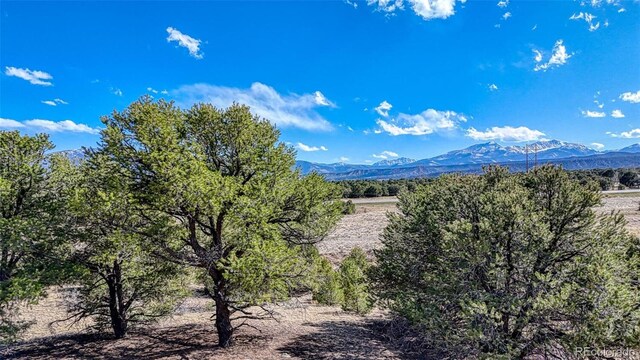 10767 Sawatch Range Rd, Salida, CO 81201