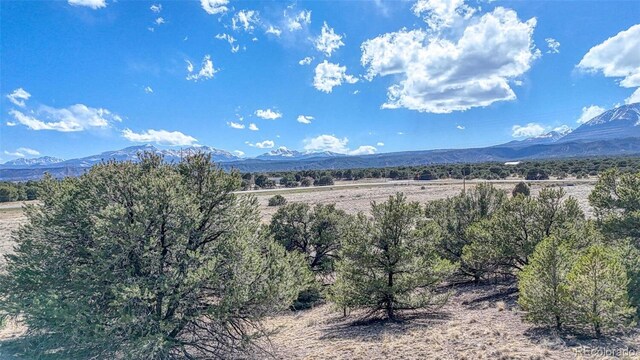 10767 Sawatch Range Rd, Salida, CO 81201