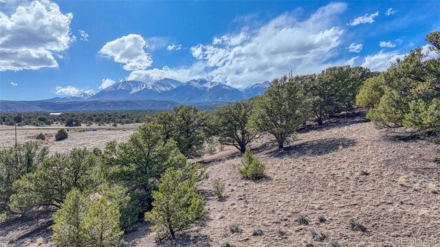 10767 Sawatch Range Rd, Salida, CO 81201