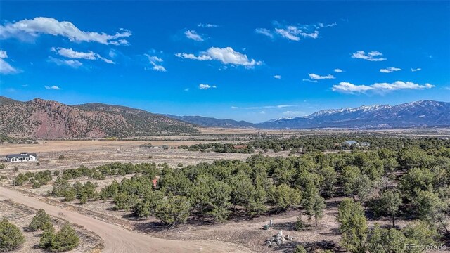 10767 Sawatch Range Rd, Salida, CO 81201