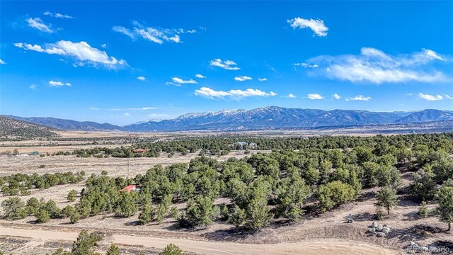 10767 Sawatch Range Rd, Salida, CO 81201