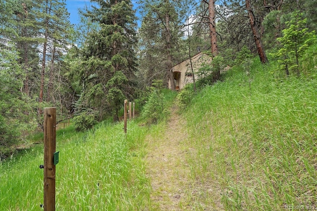 27756 Troublesome Gulch Rd, Evergreen, CO 80439 - photo 35
