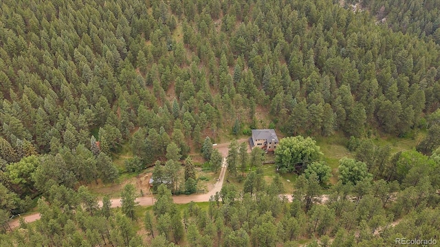 27756 Troublesome Gulch Rd, Evergreen, CO 80439 - photo 46
