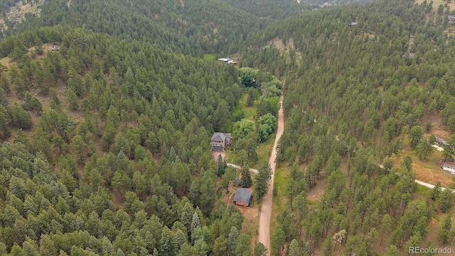 27756 Troublesome Gulch Rd, Evergreen, CO 80439 - photo 47