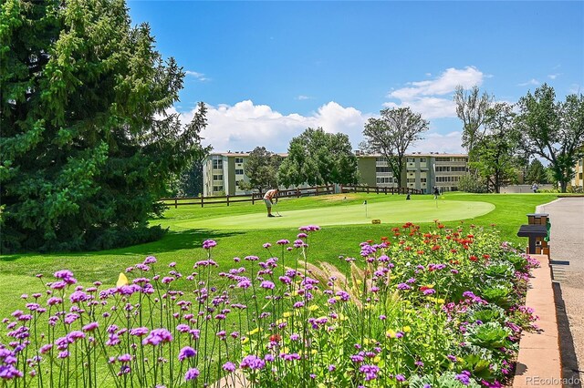 view of property's community featuring a lawn