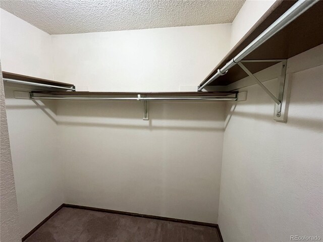 17969 E Brown Pl, Aurora, CO 80013 - walk in closet with carpet floors