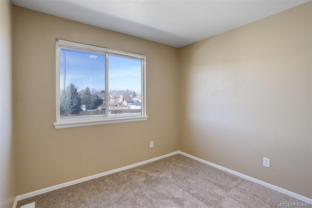 spare room featuring carpet and plenty of natural light