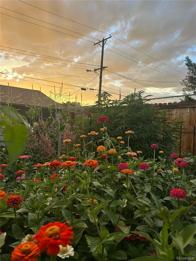 view of yard featuring fence