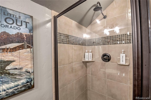 107 Ski Watch Rd Unit 32, Breckenridge, CO 80424 - bathroom featuring a shower stall