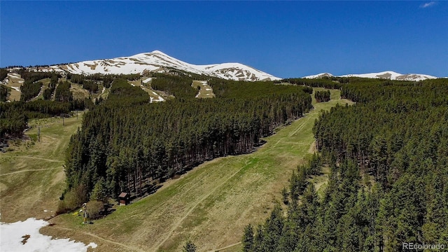 107 Ski Watch Rd Unit 32, Breckenridge, CO 80424 - mountain view with a forest