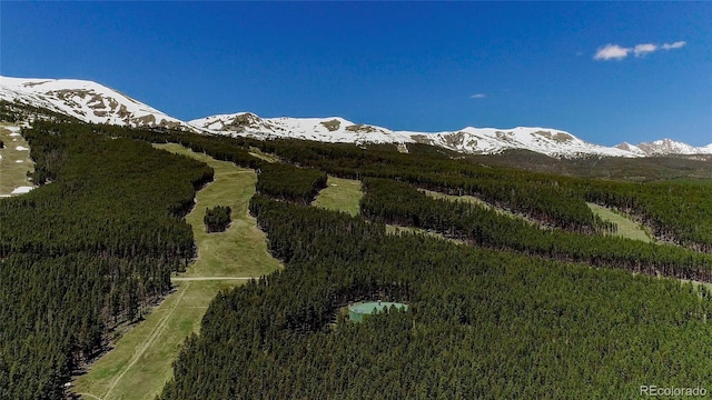 107 Ski Watch Rd Unit 32, Breckenridge, CO 80424 - mountain view